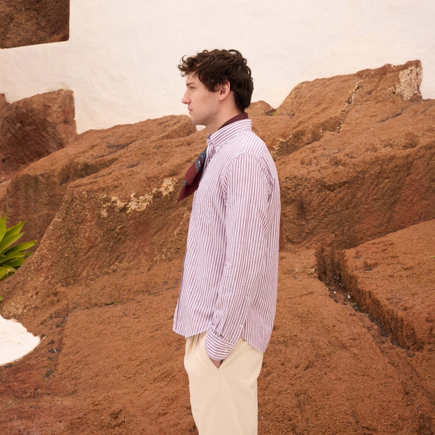 Bordeaux striped cotton shirt