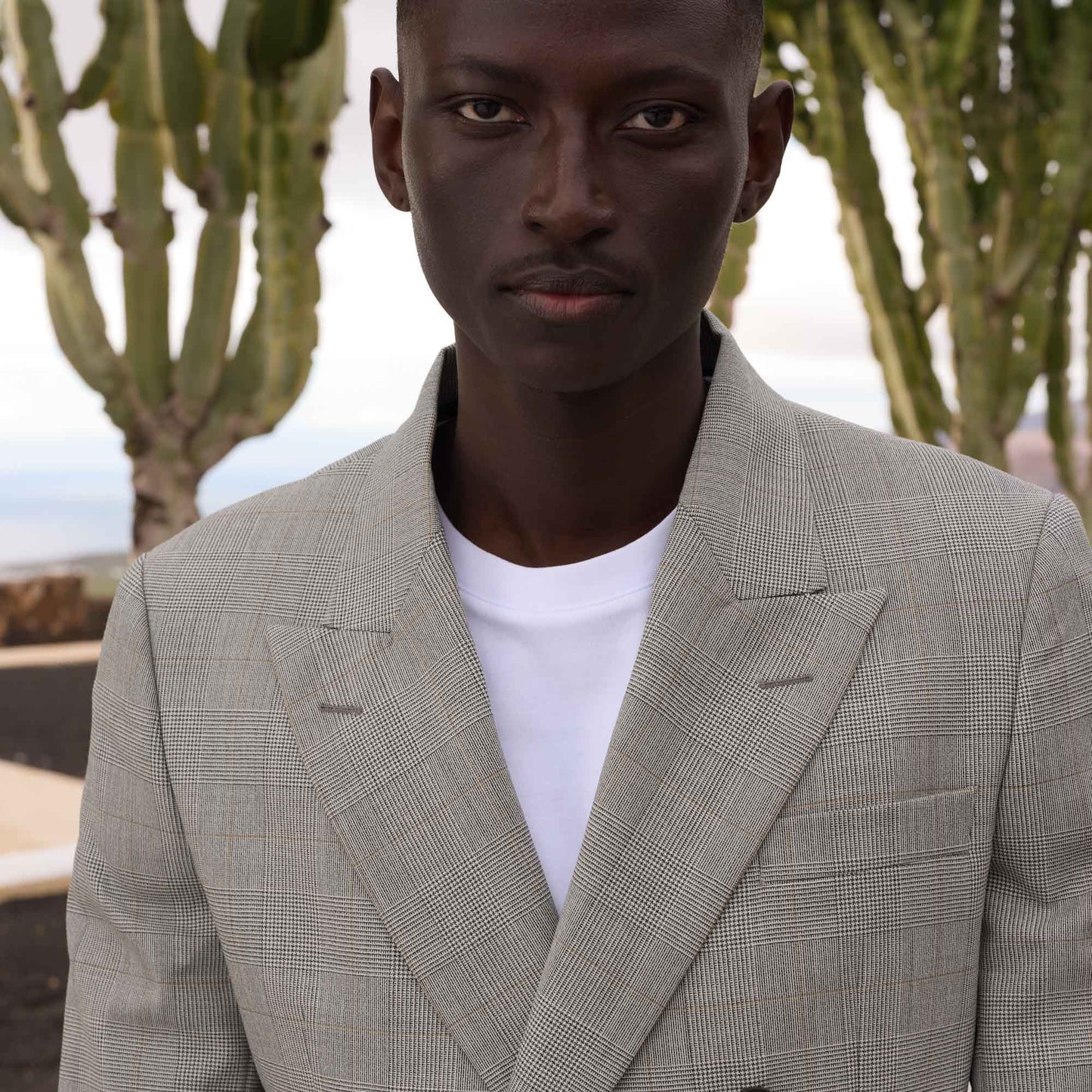 Grey Prince of Wales wool double-breasted jacket