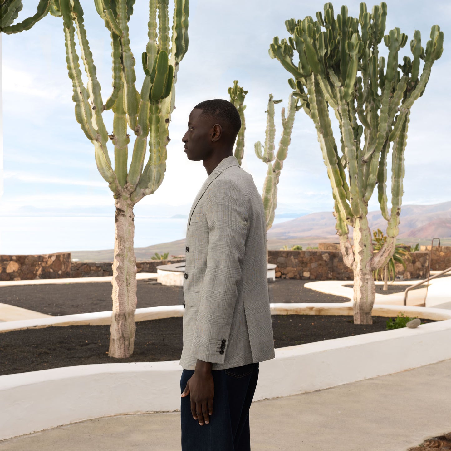 Grey Prince of Wales wool double-breasted jacket