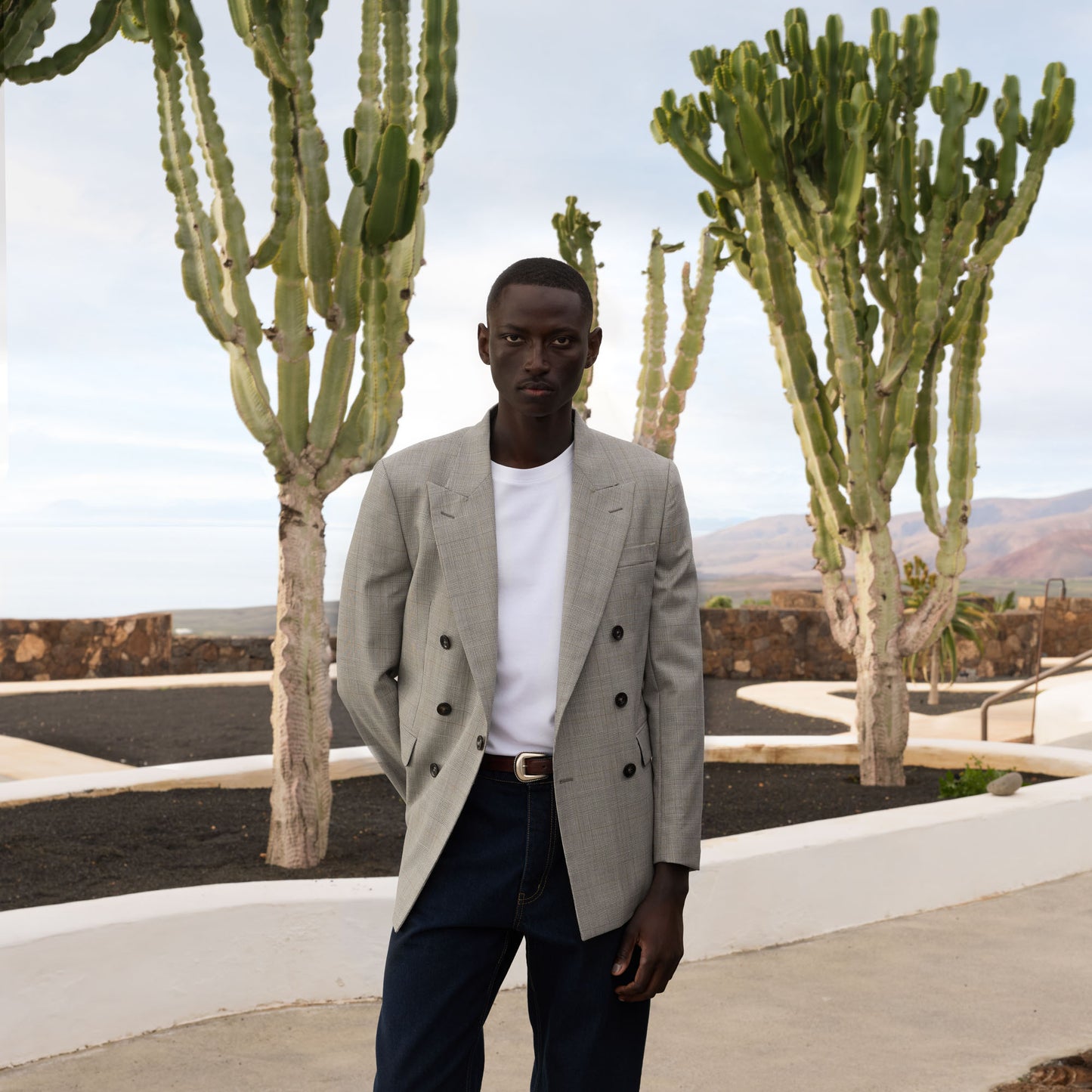 Grey Prince of Wales wool double-breasted jacket