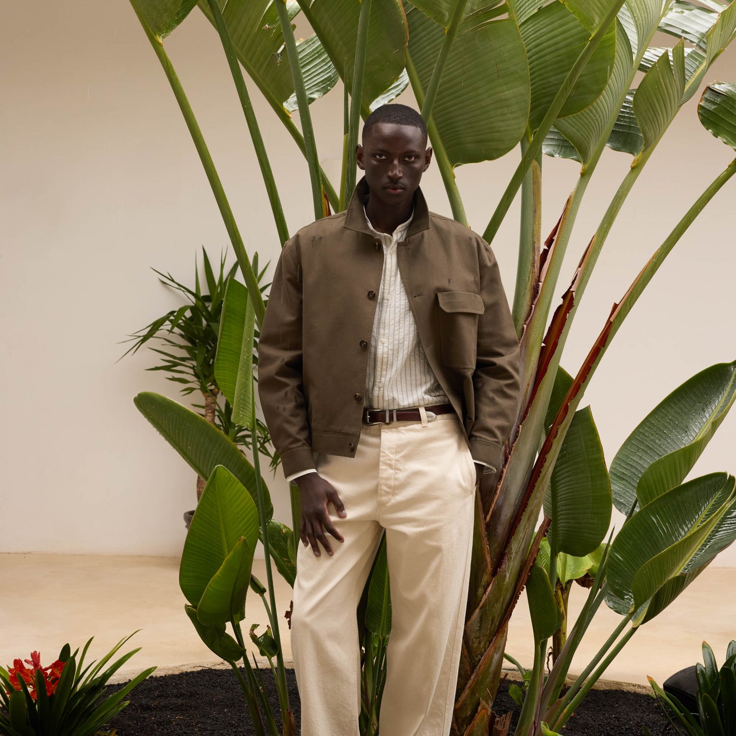 Khaki cotton jacket