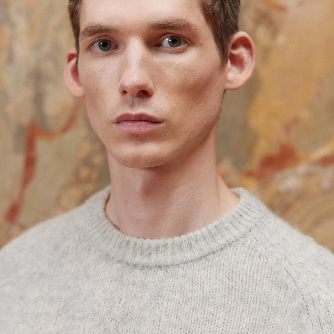 Pull shaggy dog gris clair