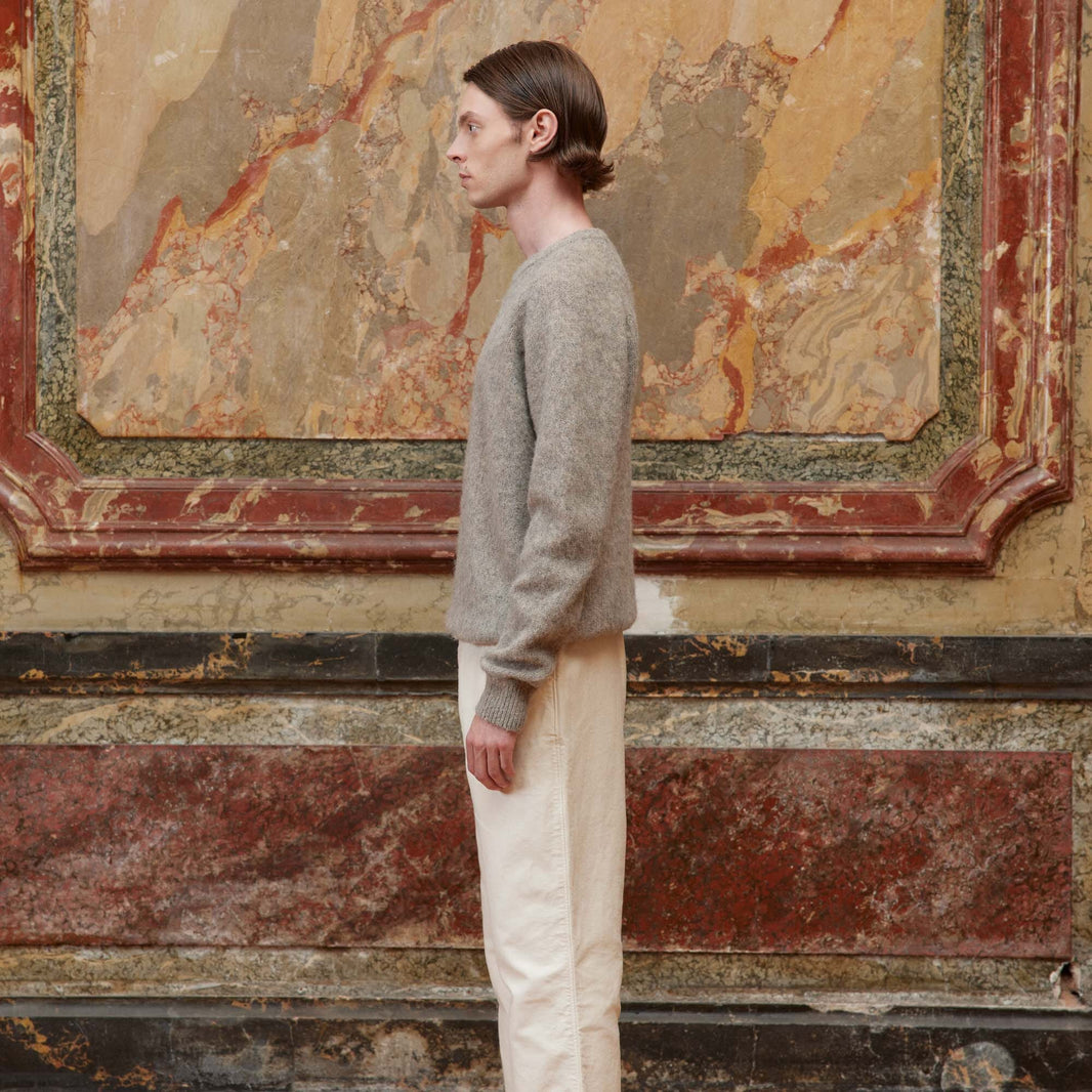 Pull shaggy dog greige