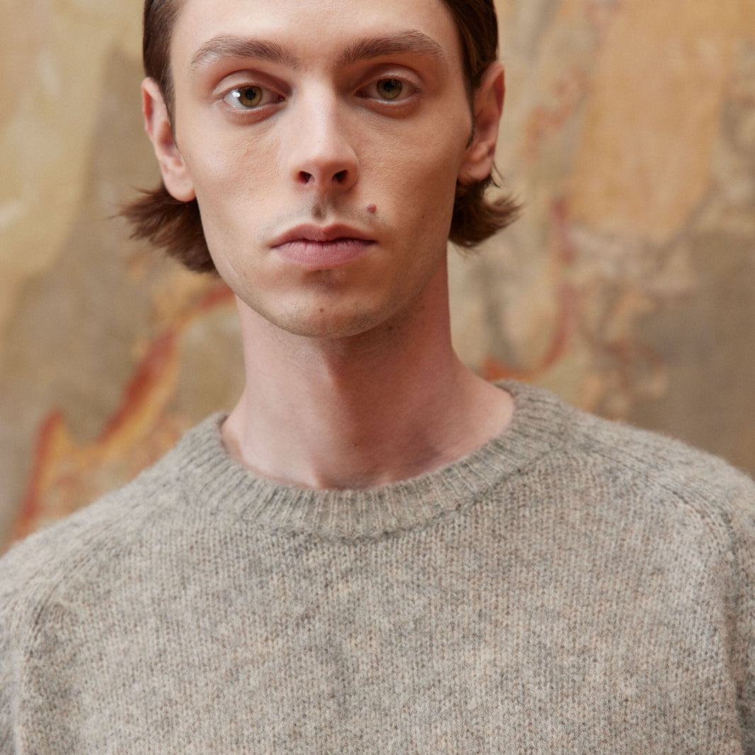 Pull shaggy dog greige